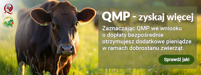 640x240px kopia