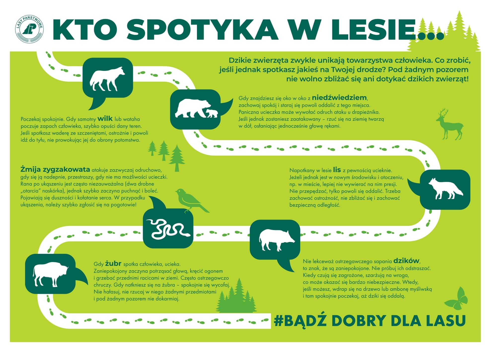 co zrobic gdy spotkasz w lesie page 0001 min