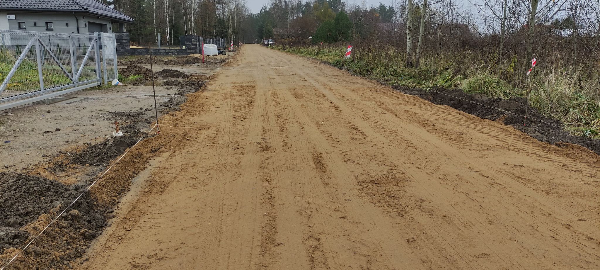 mniszkowa ziemia