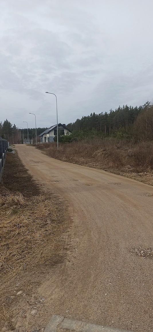 sowlany pszczela